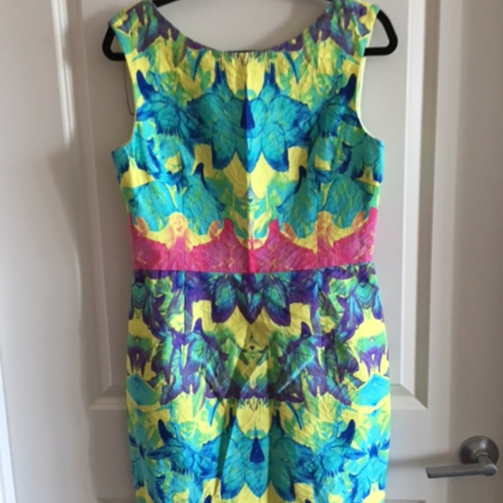 Beautiful Multi-colored Muse Shift Dress Size 12